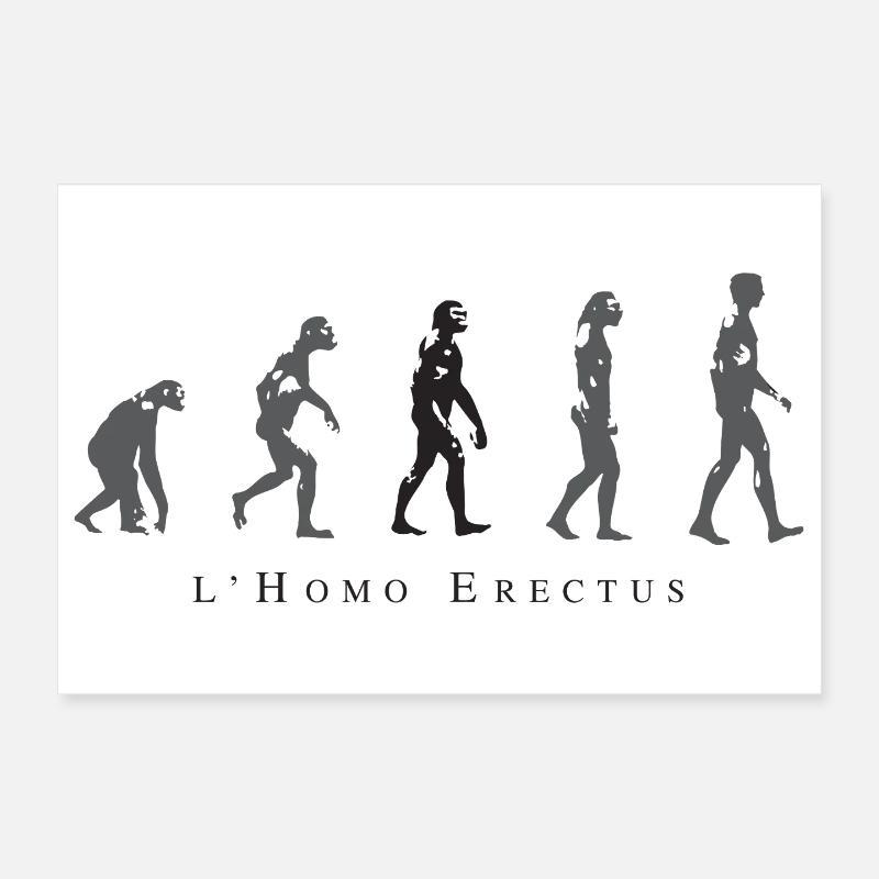 Evolution der menschlichen Haltung Poster 30x20 cm