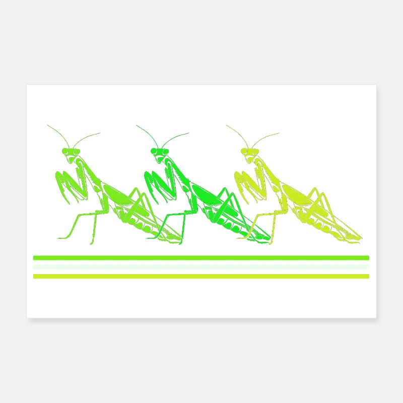 Mantis Worshipper Mantis Poster 12" x 8" (30x20 cm)