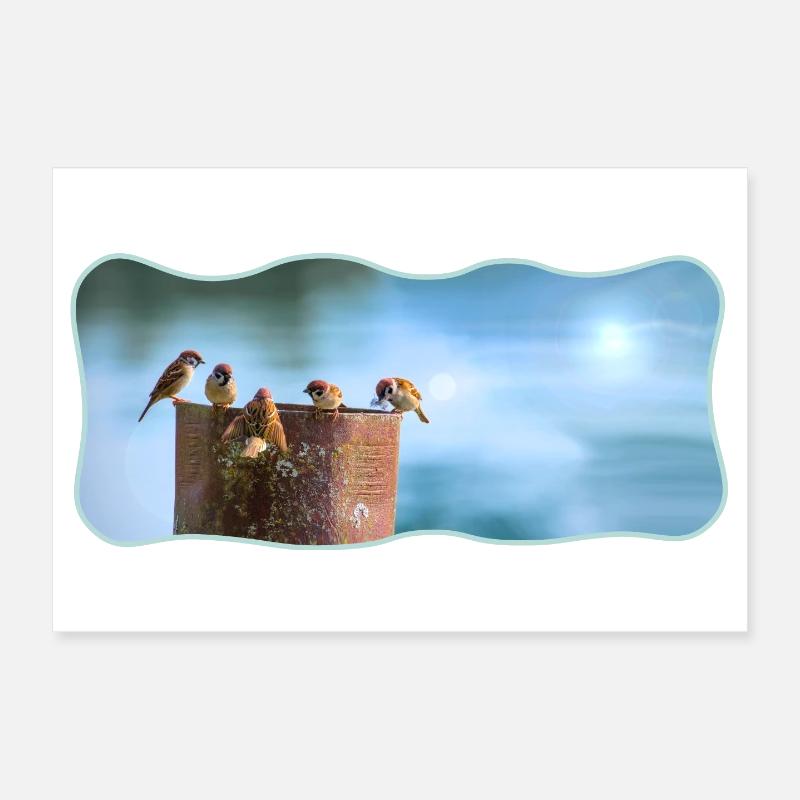 Photo design sparrows meeting curved outlined Poster 12" x 8" (30x20 cm)