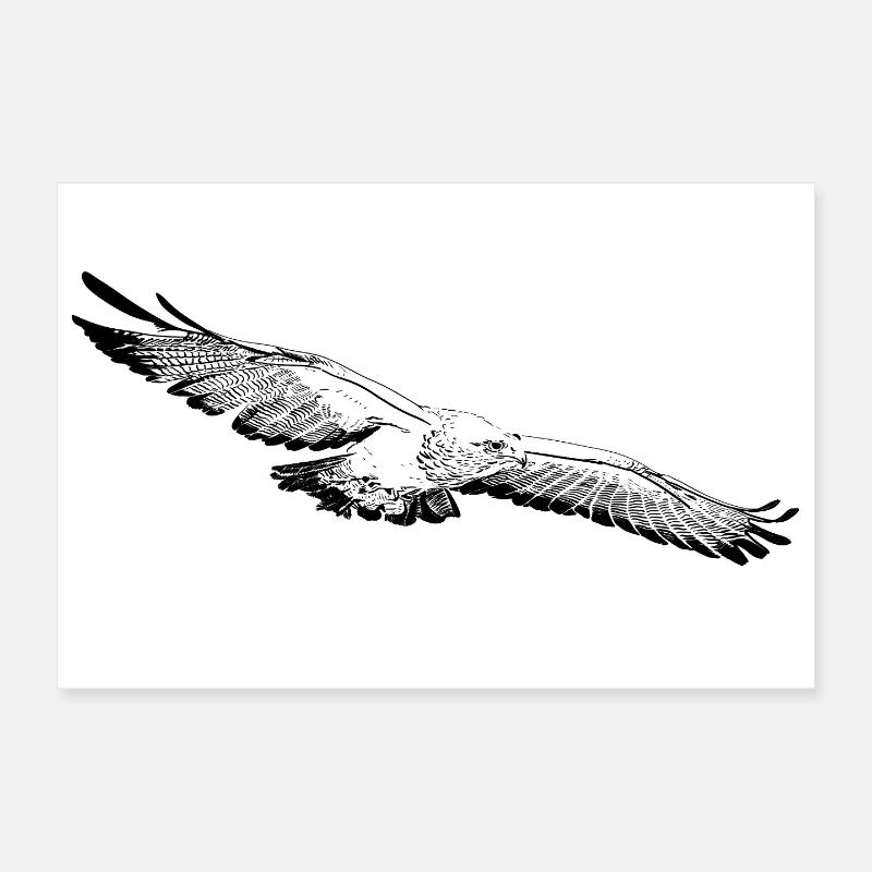 Aigle Poster 30 x 20 cm