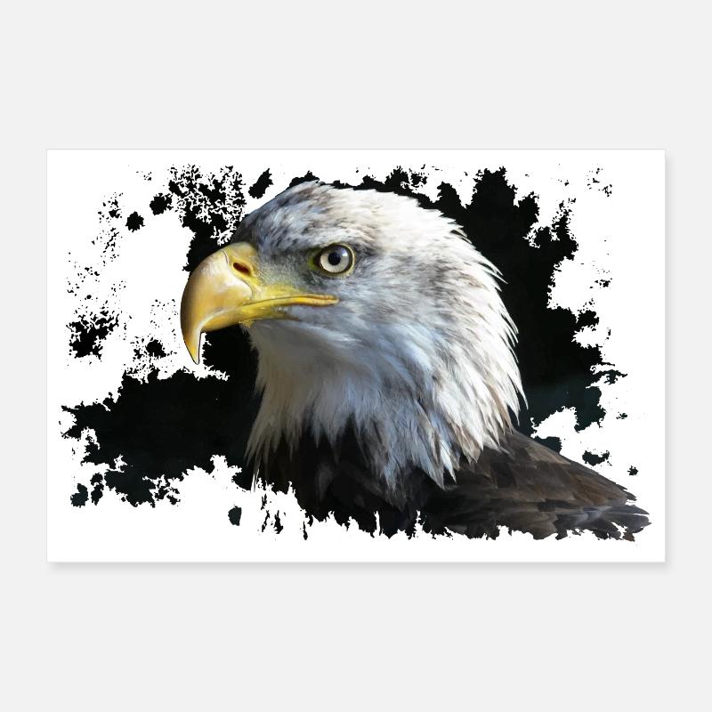 Adler - Poster 30x20 cm - Weiß