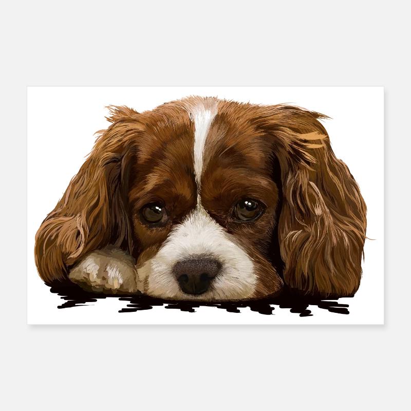 Spaniel Poster 30x20 cm