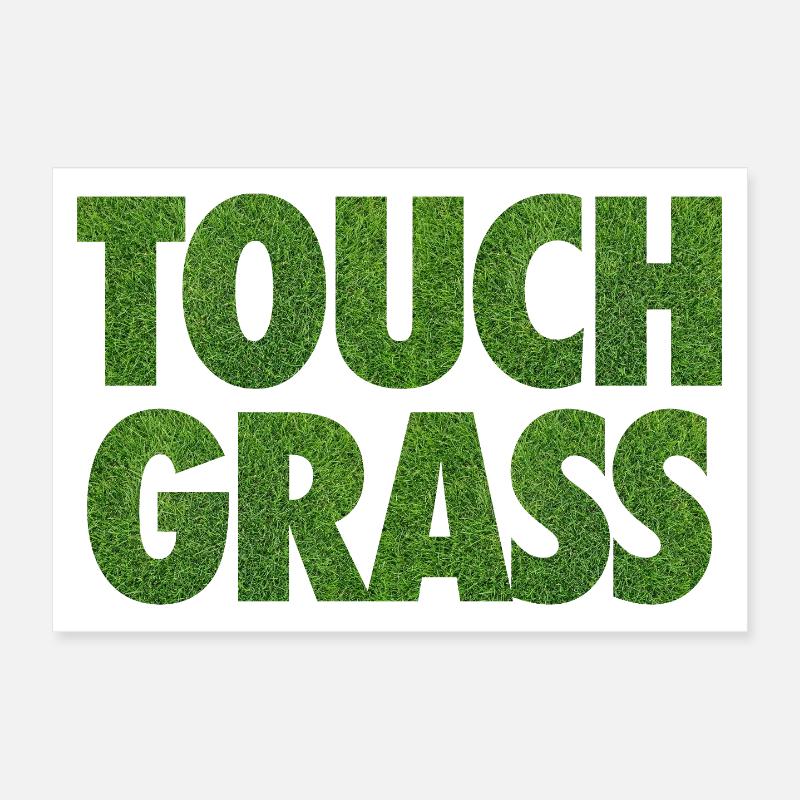 Slogan Internet du mème Touch Grass Poster 30 x 20 cm