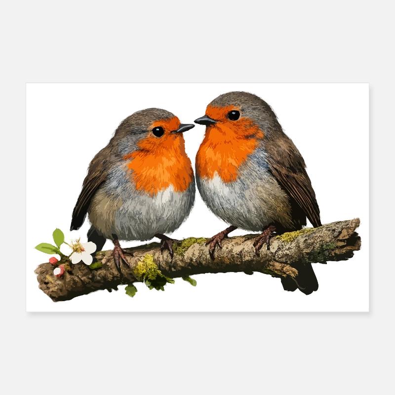 Duo Red Robin auf Ast - Poster 30x20 cm - Weiß