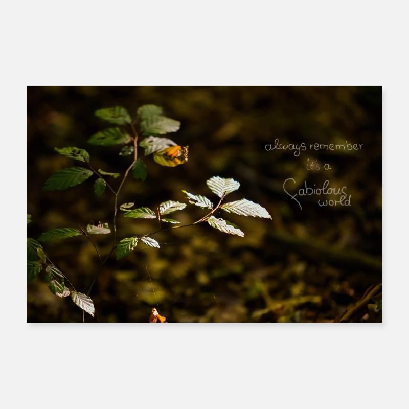 fabiolous world Forest tranquility Poster 24" x 16" (60x40 cm)