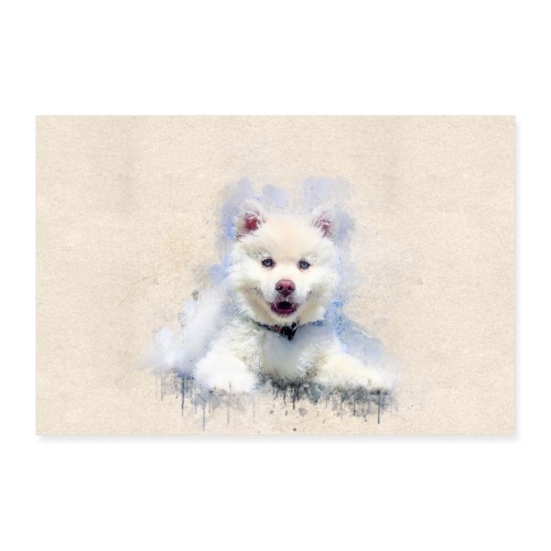 Husky sibérien Blanc peinture aquarelle -by- Wyll- - Poster 60 x 40 cm