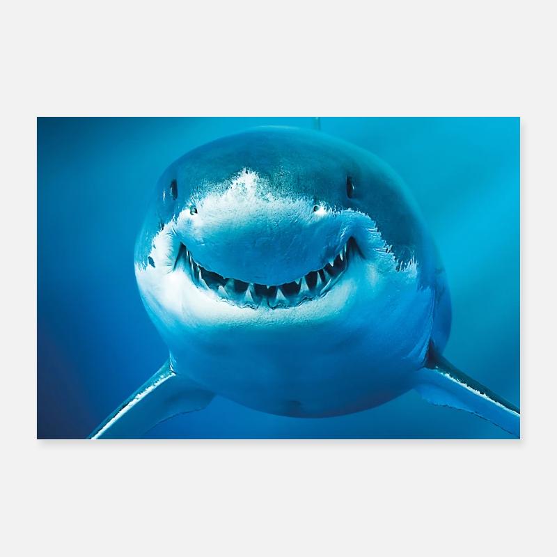 Lächelnder Hai unter Wasser Poster 60x40 cm