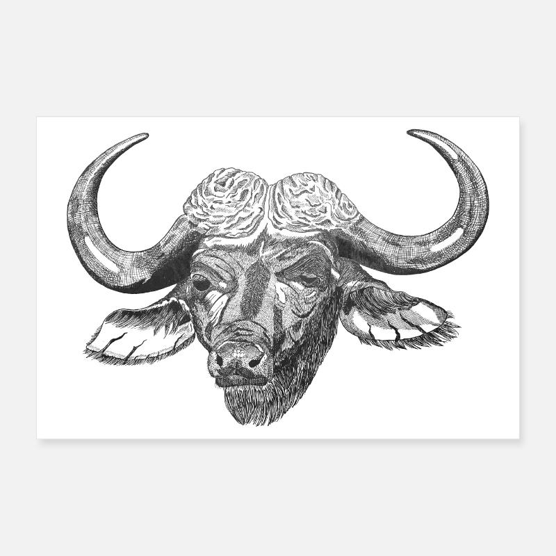 Buffle d’eau Boeuf Poster 60 x 40 cm