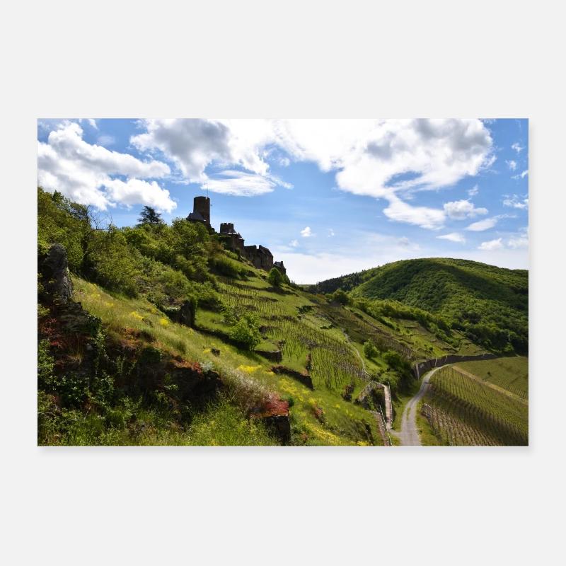 Moselle, château, vignoble, panorama Poster 60 x 40 cm
