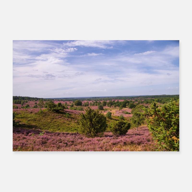 Wunderschöne Heidelandschaft Poster 60x40 cm