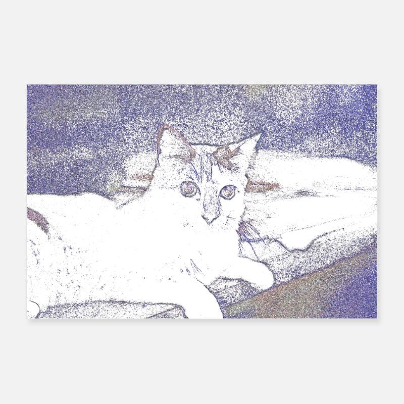 Katze Katze Haustier Katze Poster 60x40 cm