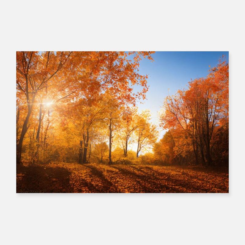 Herbstbild Poster 60x40 cm