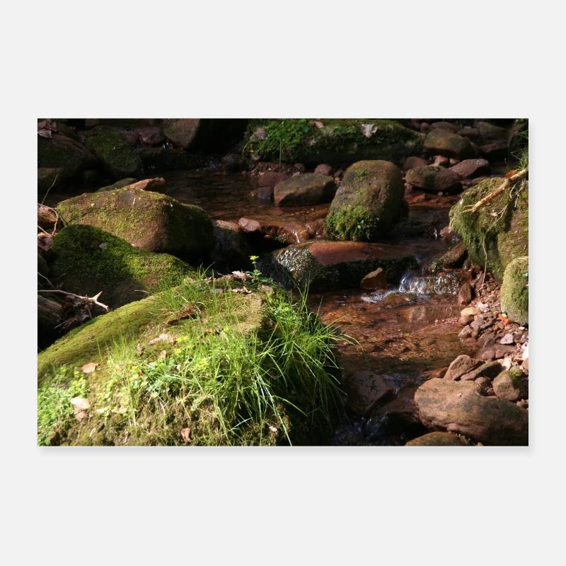 Schwarzwälder Bächle Poster 60x40 cm