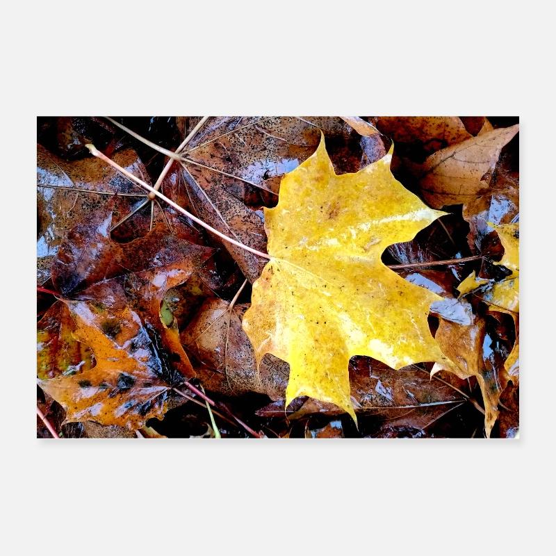 Herbstteppich Poster 60x40 cm