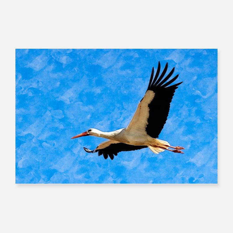 Stork in flight Poster 24" x 16" (60x40 cm)