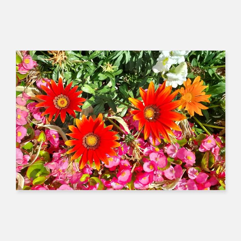 Jardin fleuri – Atmosphère colorée Poster 60 x 40 cm