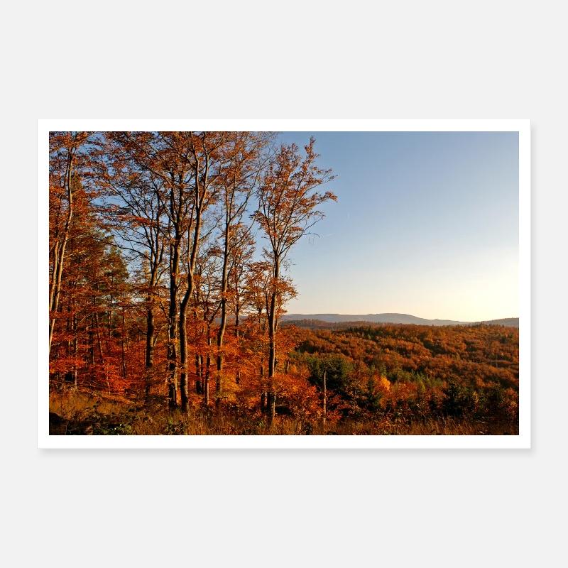 L’automne sur le Rennsteig dans la forêt de Thuringe - Poster 60 x 40 cm - blanc