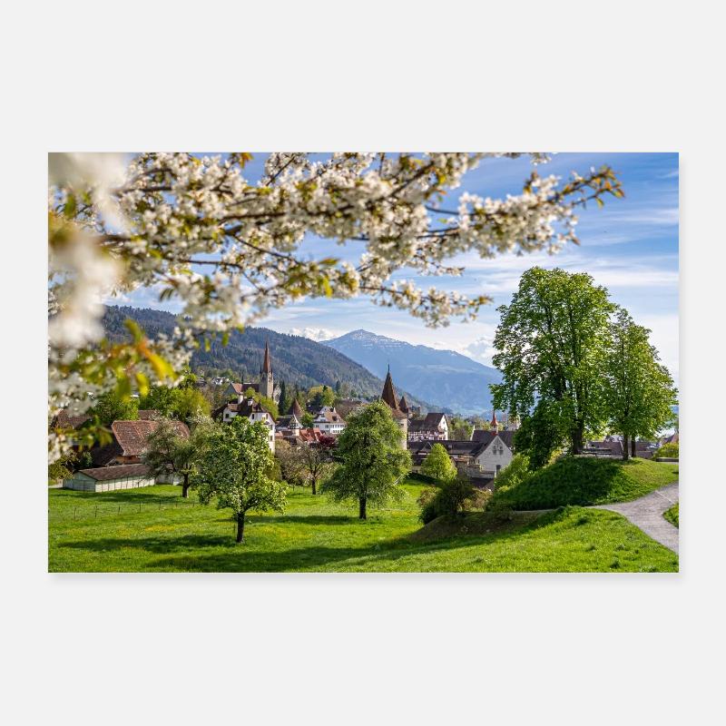 Frühlingszauber in Zug Poster 60x40 cm