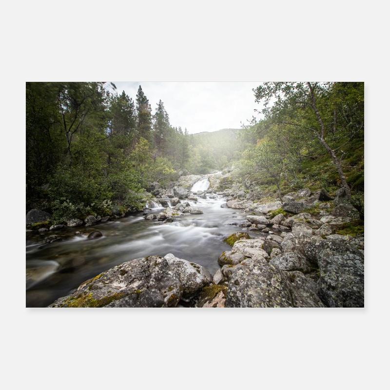 Paysage fluvial dans la forêt forestière Poster 60 x 40 cm