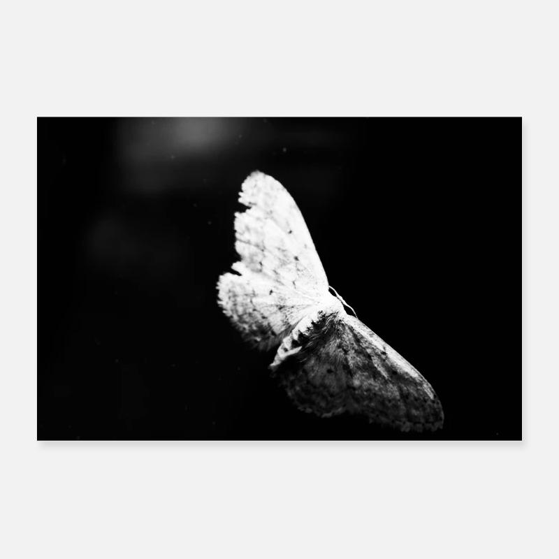 Butterfly Poster 24" x 16" (60x40 cm)
