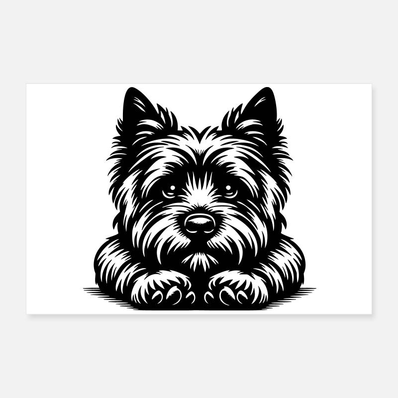 Tête de cairn terrier avec pattes Poster 60 x 40 cm