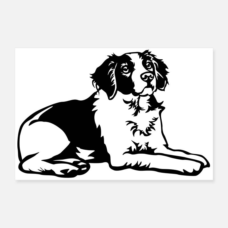 Epagneul Breton Poster 60 x 40 cm