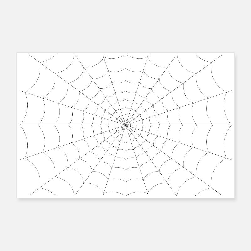 Spider web Poster 24" x 16" (60x40 cm)