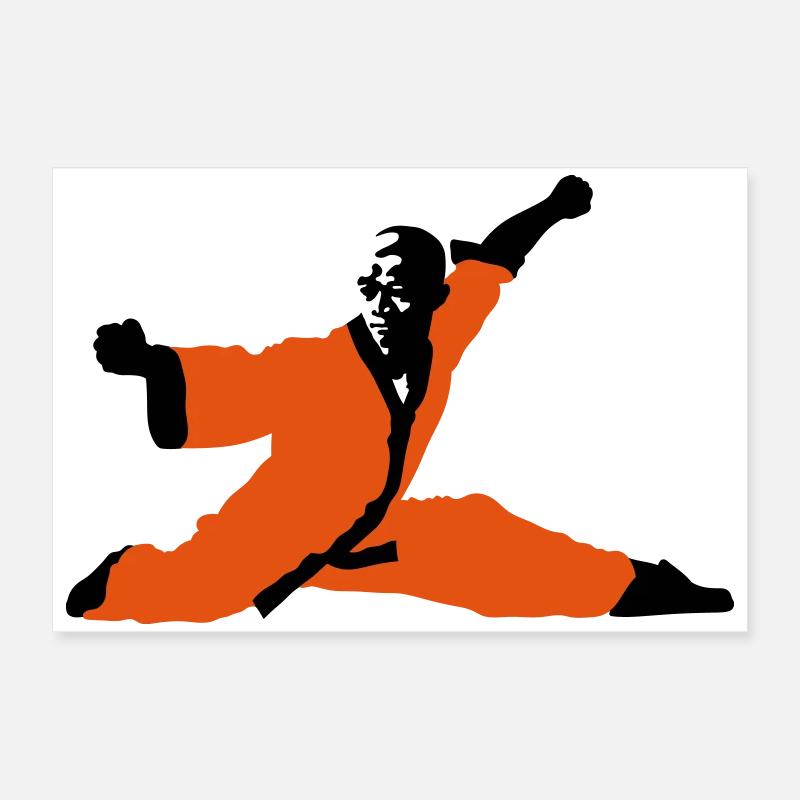 Kung fu Poster 60x40 cm
