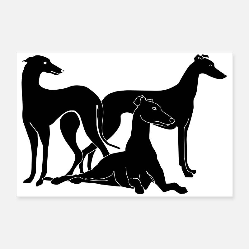 Gruppe Galgos / Greyhounds Poster 60x40 cm