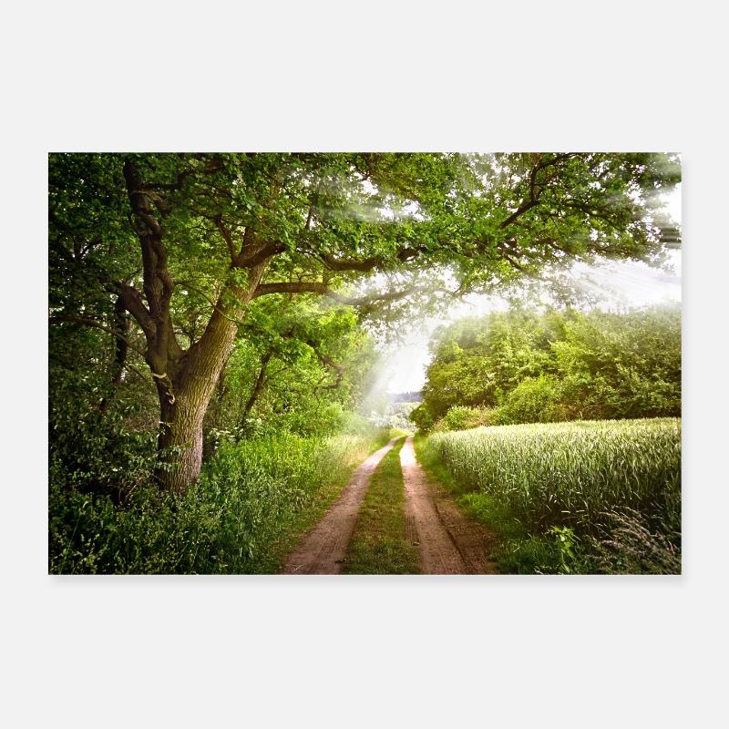 lane Poster 24" x 16" (60x40 cm)