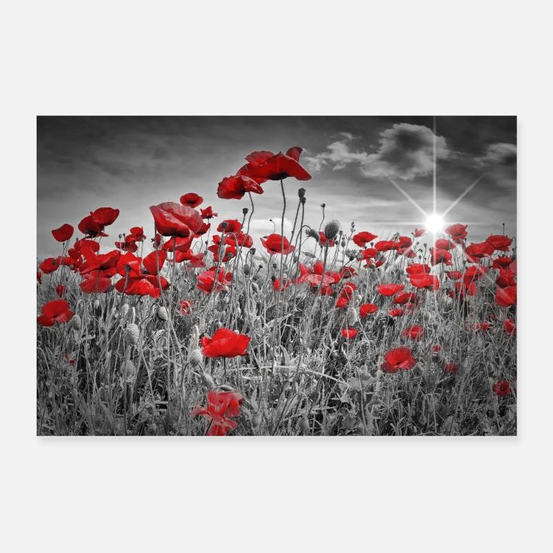 Idyllisches Mohnblumenfeld Poster 60x40 cm