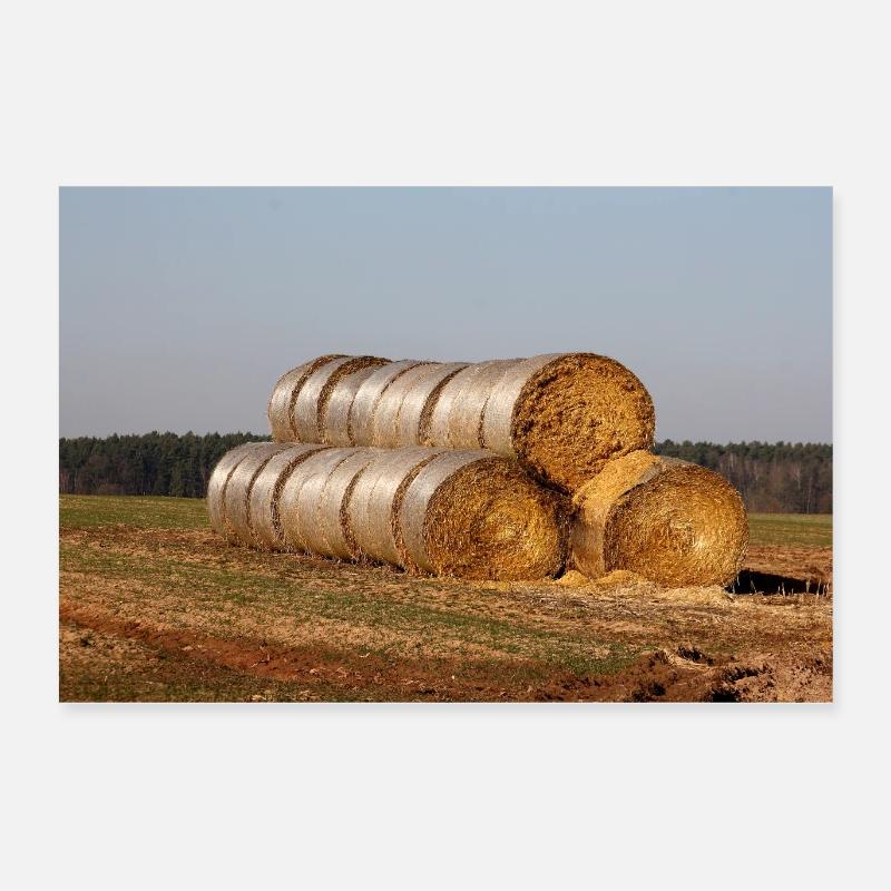 balles de paille - Poster 60 x 40 cm - blanc