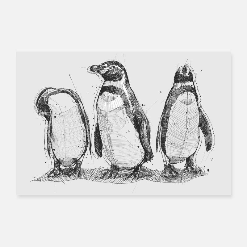 Impression d'art pingouin Poster 60 x 40 cm