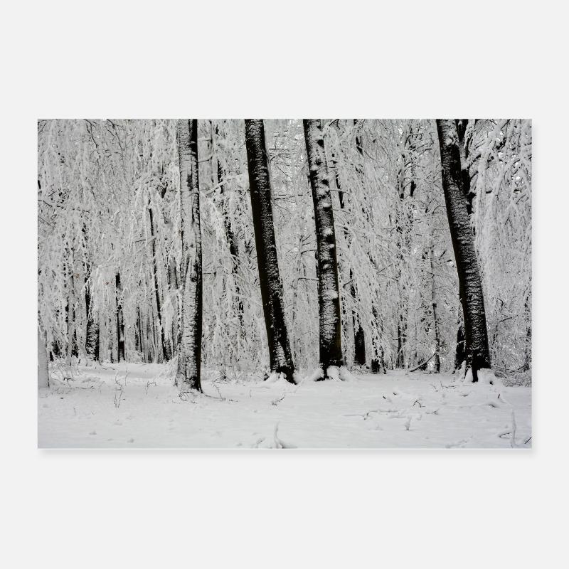 Winter trees Poster 24" x 16" (60x40 cm)