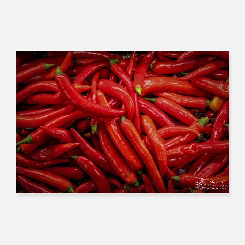 Chilis - Poster 60x40 cm - Weiß