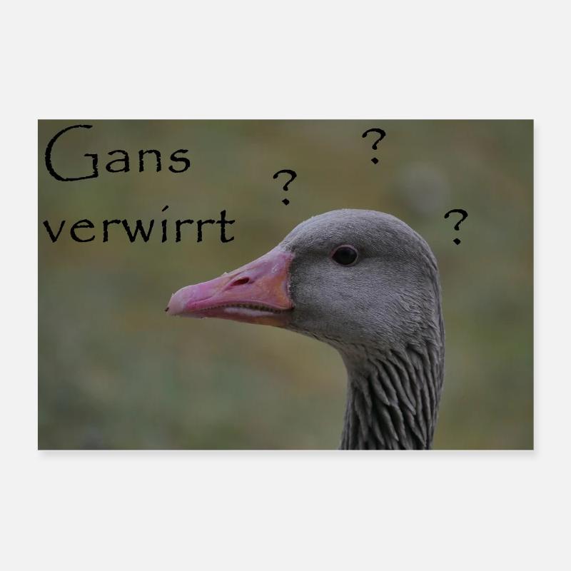 Goose confused - funny saying Poster 24" x 16" (60x40 cm)