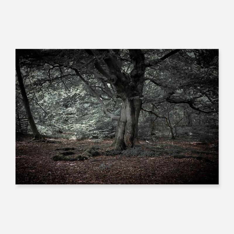 Im Märchenwald - Poster 60x40 cm - Weiß