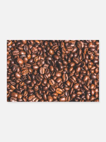 Kaffeebohnen - Poster 60x40 cm - Weiß