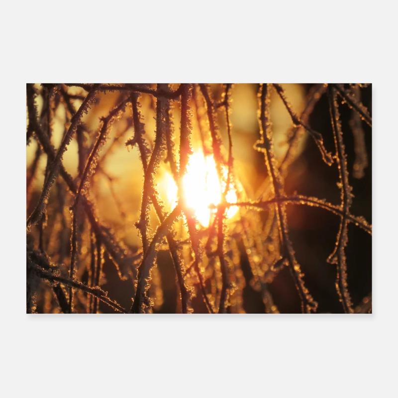 Frost Poster 60x40 cm