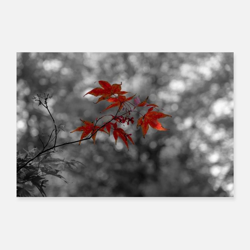 Rote Ahornblätter Artwork - Poster 60x40 cm - Weiß