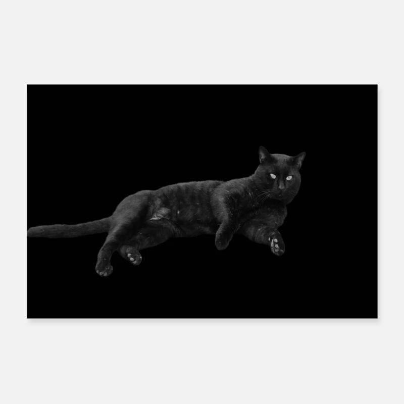schwarze Katze Katze schwarz Katzen Geschenk Poster 60x40 cm