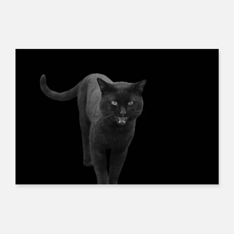 chat noir chat chaton Poster 60 x 40 cm