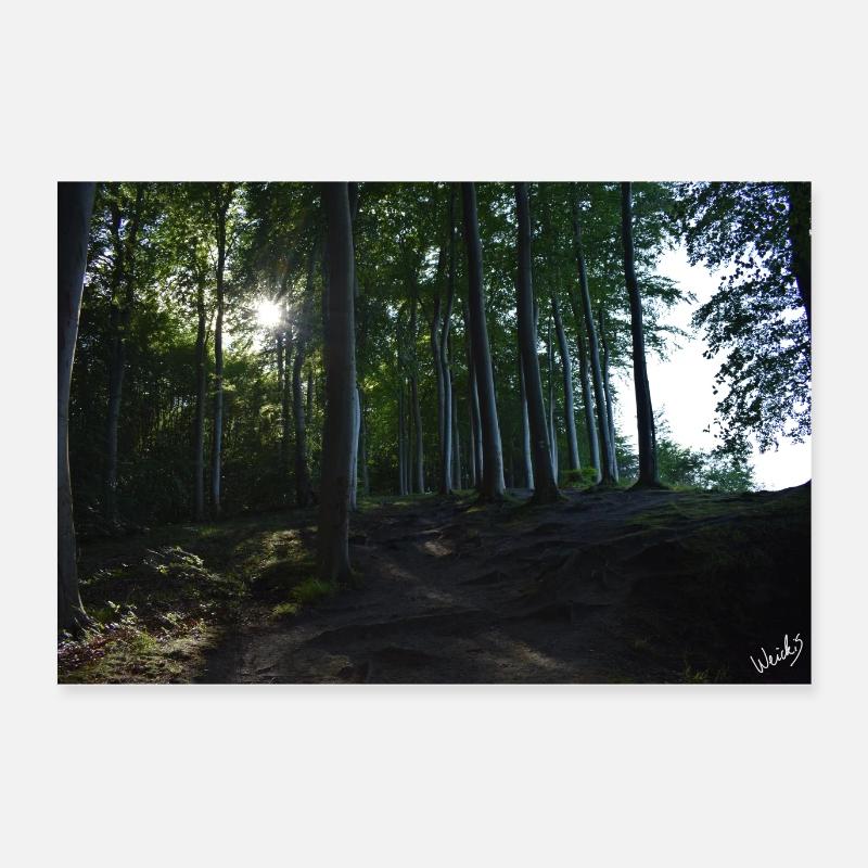 Forest whispers Poster 24" x 16" (60x40 cm)