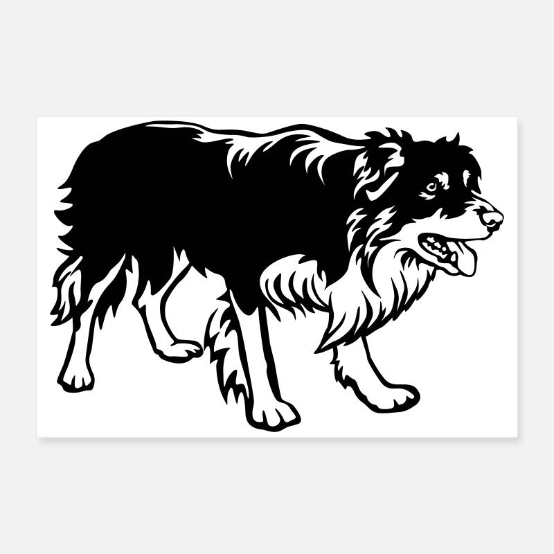 Border Collie Poster 60x40 cm