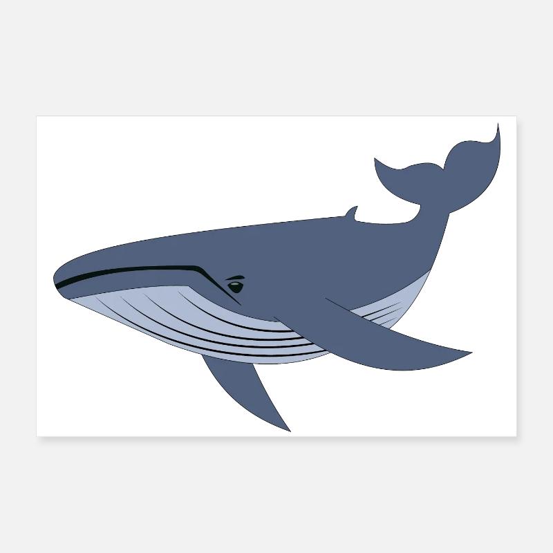 Blauwal, Wal Poster 60x40 cm