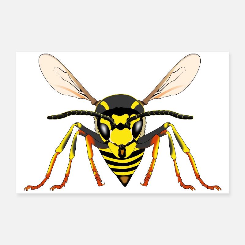 Wasp from the front Poster 24" x 16" (60x40 cm)