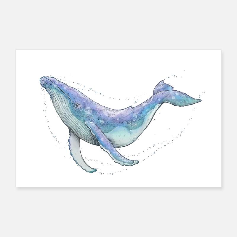 Buckelwal Poster 60x40 cm