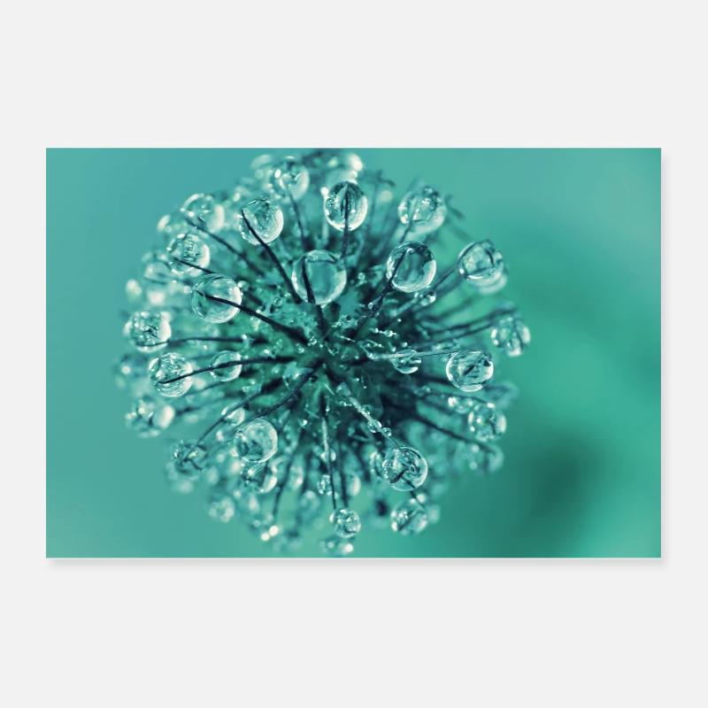 Wassertropfen Poster 60x40 cm