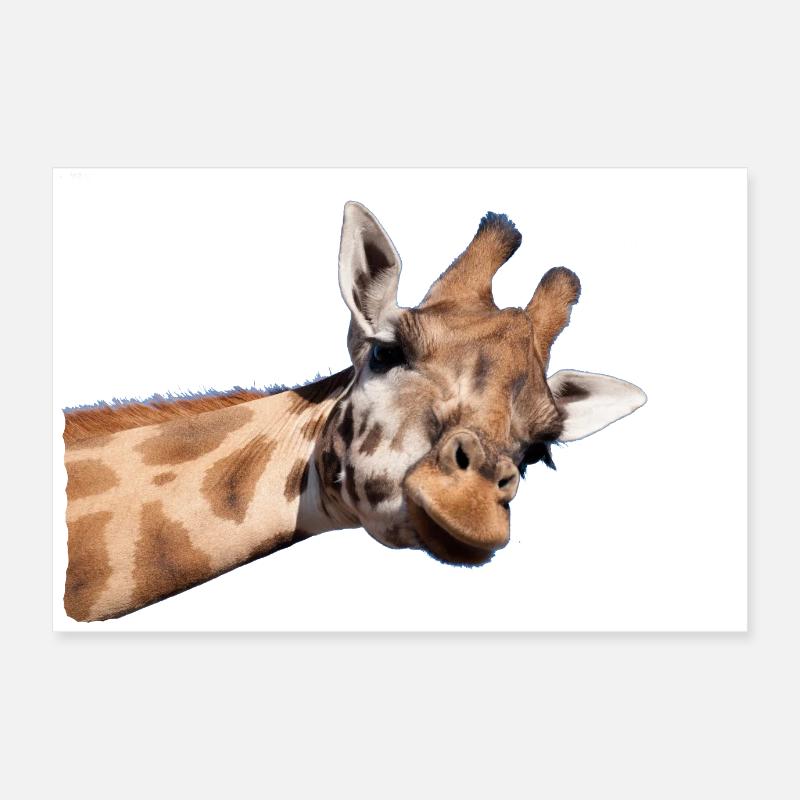 giraffe Poster 24" x 16" (60x40 cm)