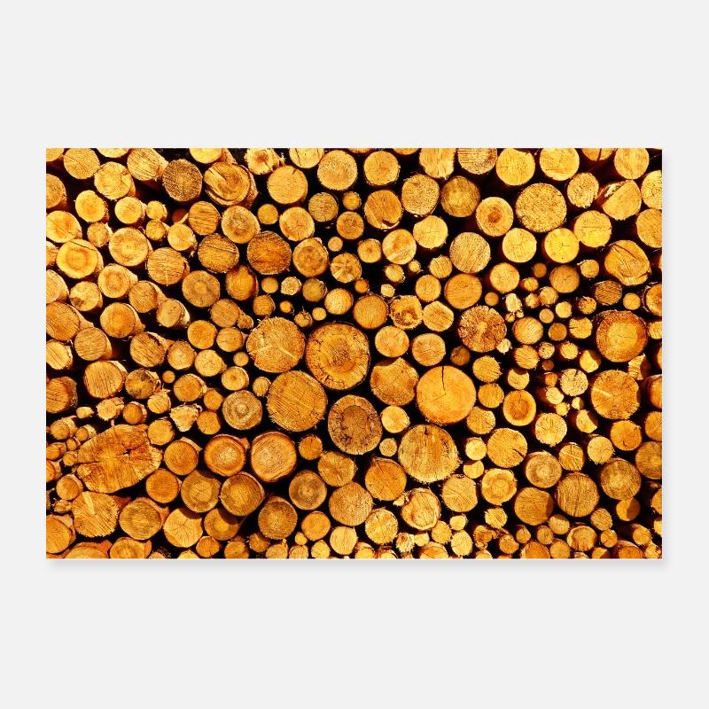 Troncs d'arbres Poster 60 x 40 cm
